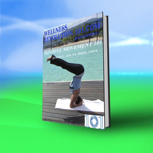 Mindful Movement 101 book cover