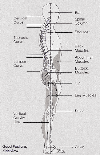 good posture