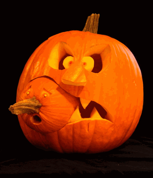 Pumpkin picture